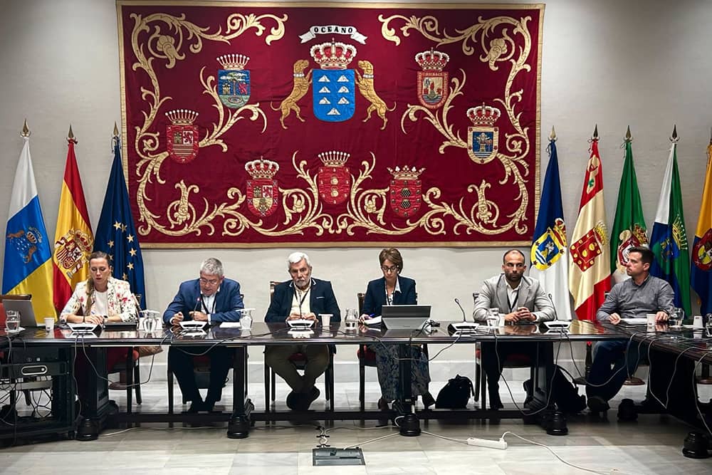 Un grupo de seis personas se sienta en una mesa larga con portátiles y documentos, participando en una reunión. Detrás de ellas hay un gran tapiz ornamentado con un escudo de armas. Varias banderas ondean a ambos lados del tapiz.